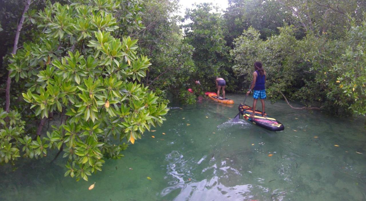 אכסניה Afya Village At The Sea Michamvi