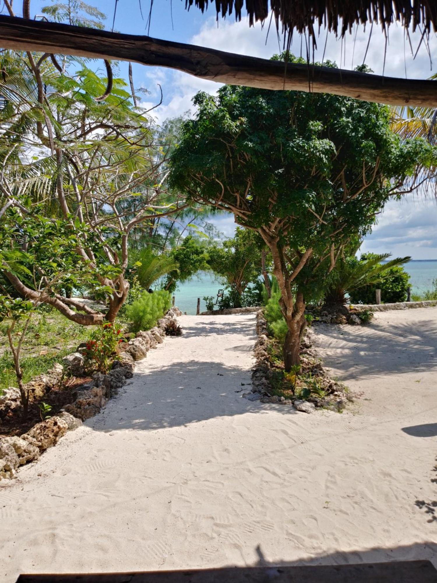 Afya Village At The Sea Cabană Michamvi
